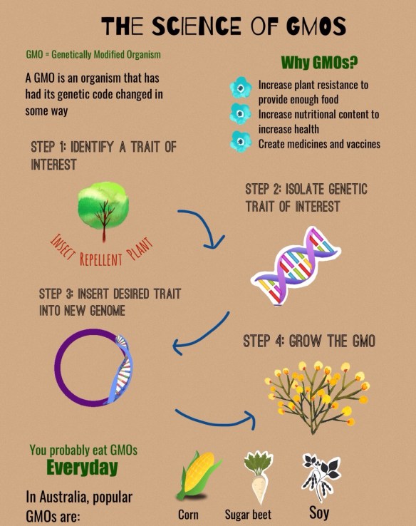 GMO image.jpg